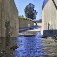 Drop Off , South Gate, 2013