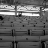 Audience, Santa Anita Race Track, 2007