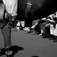 Feet, Santa Anita Race Track, 2007