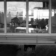 Dining room and Horse, Santa Anita Race Track, 2007