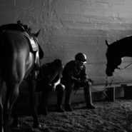 Stable Hands and Horses, Santa Anita Race Track, 2007