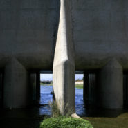 Greenery, Sepulveda Basin, 2011