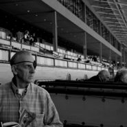 Boxholder, Santa Anita Race Track, 2007