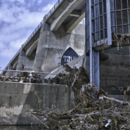 Debris, Sepulveda Basin, 2011