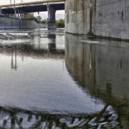 Ripples, Arroyo Seco Confluence, 2011