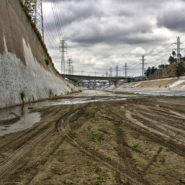 Tracks, Arroyo Seco Confluence, 2011