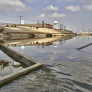 Guiding Lines, South Gate, 2012