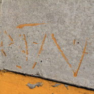 Curb, Pasadena, 2013