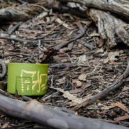 Paint Can Cap, Murphy Ranch, 2015