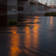 Reflections, West Glendale, 2015