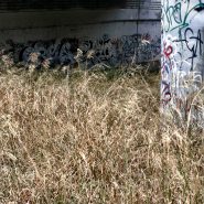 Electrical Box, LA River, 2011