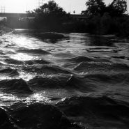 River Bank, Frogtown, 2017