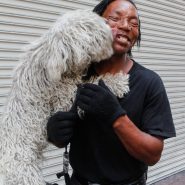 Lucky the Dog, Downtown LA, 2014