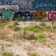 Overgrown Lot, Echo Park, 2021