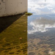 Algae and Clouds, Bell, 2023